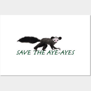 Sace The Aye-Ayes Posters and Art